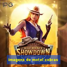 imagens de motel cobras